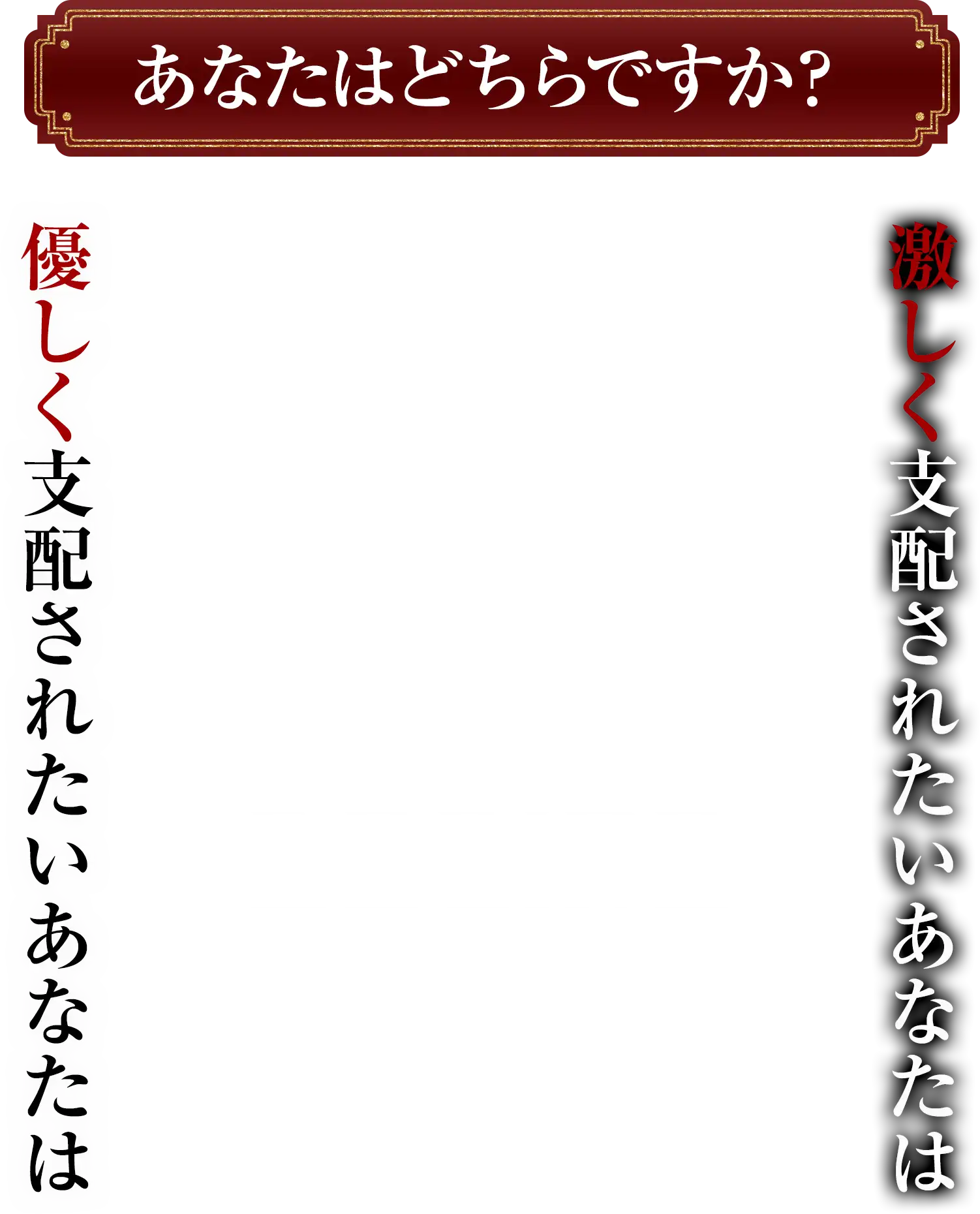 DESIRE あなたはどちらですか？ 優しく支配されたい 激しく支配されたい