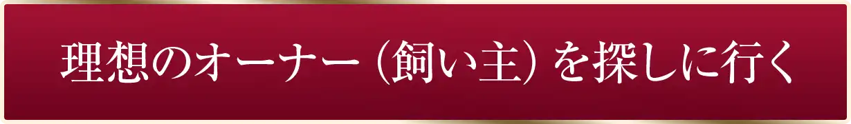 理想のオーナー（飼い主）を探しに行く