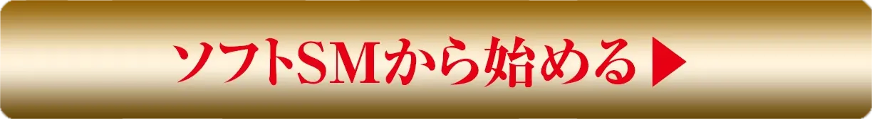 ソフトSMから始める