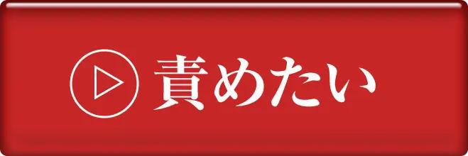 責めたい